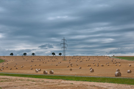 electrical tower between hay bales