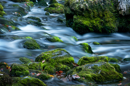 waterfall running through mossy stonesの写真素材