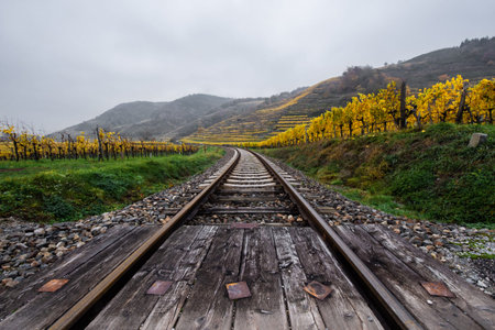 rails through the autumnal vinyard landscape in Austria - Wachau -  Kremsの写真素材