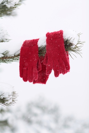 Woman with Snow falling on her Capの写真素材