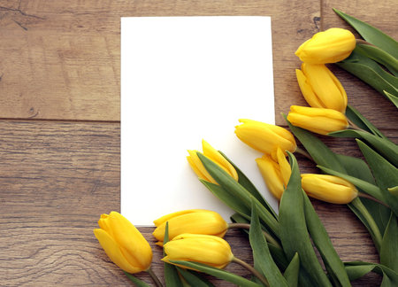 Spring Letter and Tulipsの写真素材