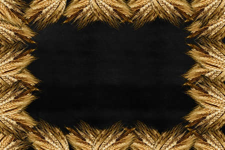 wheat frame with rusty background space for text.の写真素材