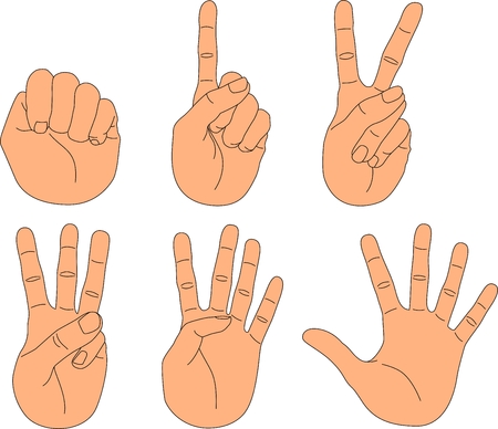 Hand with fingers in different positions: from the fist to the open palmのイラスト素材