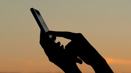 Woman using smartphone in forest after sunset. Relax, nature and technology concept. Close up shot of woman hands with mobileの写真素材
