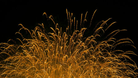 Colorful fireworks at holiday night