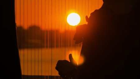 Close up shot - woman hands playing harp on city embankment at sunset. Music, leisure and culture...