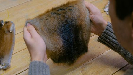 Professional male skinner, furrier working with mink fur skin at atelier, workshop. Fashion and...