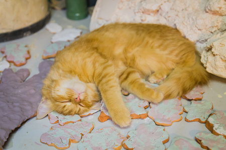 Close up view - red kitten lying and sleeping on table at pottery workshop. Animal and cute concept