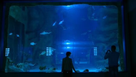 Woman stay near big aquarium tank, watching the fish. Tourism and entertaiment conceptの写真素材