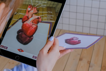 MOSCOW, RUSSIA - AUGUST 1, 2019. Woman using tablet with augmented reality app - 3d anatomical model...