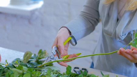 Professional floral artist, florist cutting flower stems at flower shop, workshop. Floristry,...