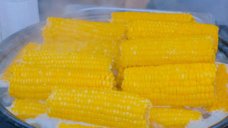 Process of cooking natural yellow corn cobs in saucepan at summer outdoor food market - close up view. Professional cooking, catering, cookery, gastronomy and street food conceptの写真素材