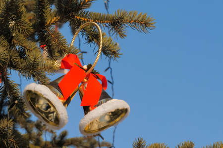 Golden bells with red bow on Christmas tree branch against blue sky on street - close up. Winter time, daylight. Holiday, celebration, decoration, traditional and new year conceptの写真素材