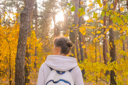 Back view: woman with backpack walking in autumn park, forest. Sun shines through trees with sun lens flares. Active outdoor lifestyle, leisure time, freedom conceptの写真素材