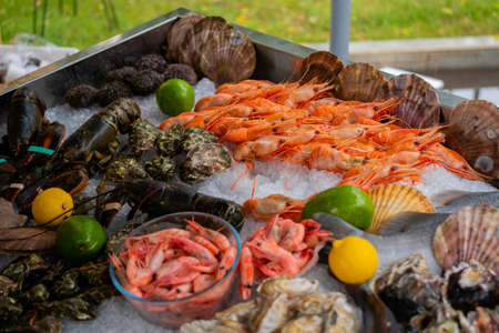 Shrimps, avocado, lemon, conch, oysters, clams and crayfish on counter at summer local fish market - close up. Retail, gastronomy and seafood conceptの写真素材