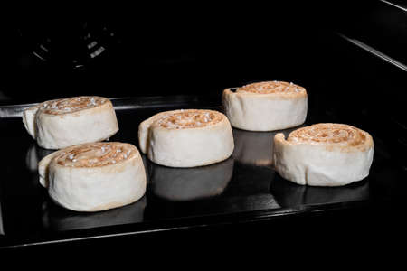 Five uncooked cinnamon buns on tray in electric oven, black background. Swedish cuisine, homemade bakery, food, cooking, pastry, semi-finished products and raw conceptの写真素材