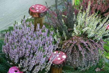 flower gardenの写真素材