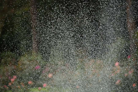 water dropsの写真素材