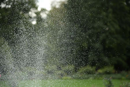 water dropsの写真素材