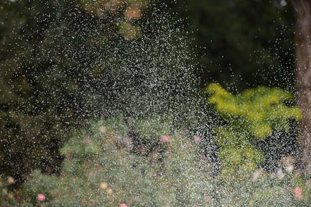 water dropsの写真素材