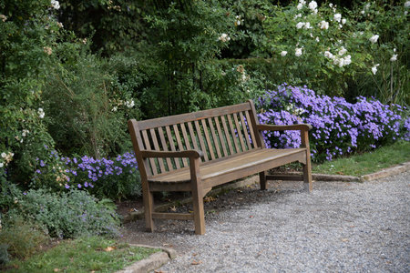 Wooden bench stands in the flower garden and there are purple flowers in the garden.の写真素材
