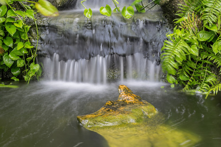 Beautiful nature water fall and a stone in central, leaf motion, long exposure imageの写真素材