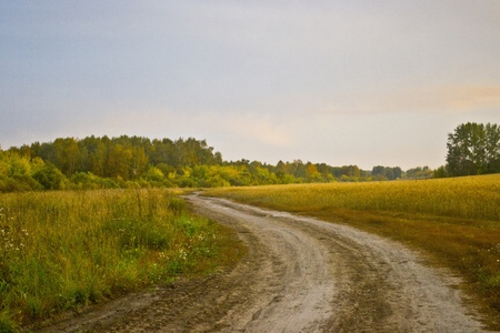 the road into the fieldの写真素材