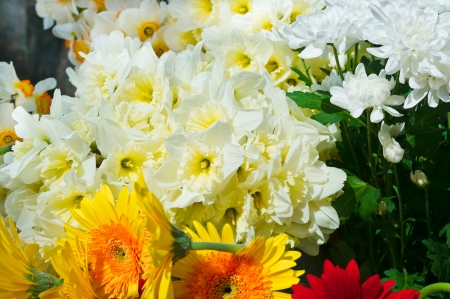 Beautiful flowers in summer on the streets of the old town of Rigaの写真素材