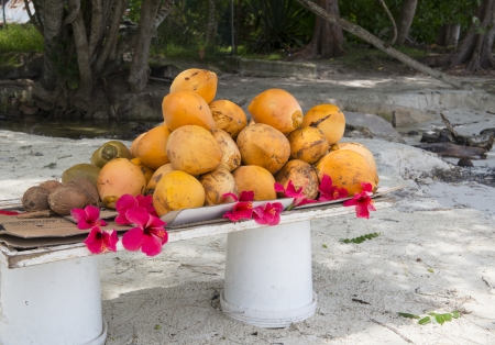 Coconut with tropical flower on exotic coastの写真素材