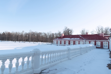 Sunny day in the park  Russiaの写真素材