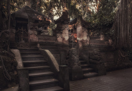 Sacred Monkey Forest Sanctuary. Ubud. Bali. Indonesia