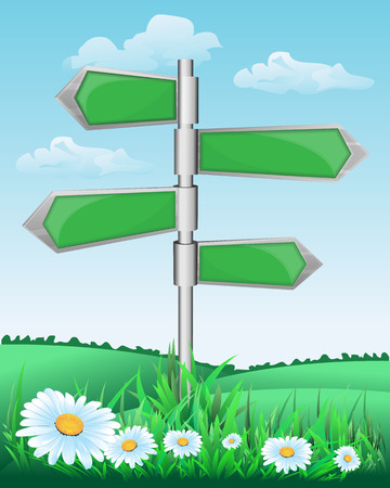 Signpost on the meadow with flowers. Vector illustrationのイラスト素材