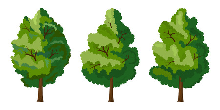 Set of three summer treeのイラスト素材