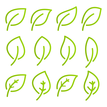 Green leaf setのイラスト素材