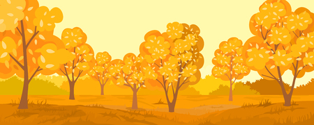 Autumn rural landscape. Autumn forestの写真素材