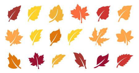 Autumn leaves setのイラスト素材