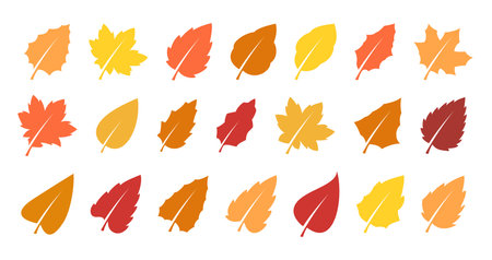 Autumn leaves setのイラスト素材