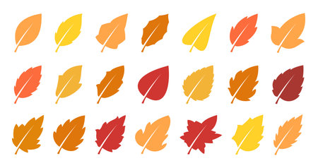 Autumn leaves setのイラスト素材