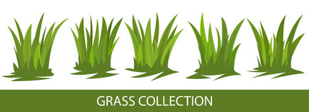 Green grass collectionのイラスト素材