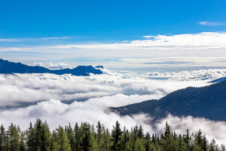 Foggy forest in high mountains Alps Austriaの写真素材
