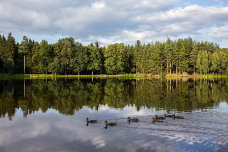 Small pond in the high mountains Alps Austriaの写真素材