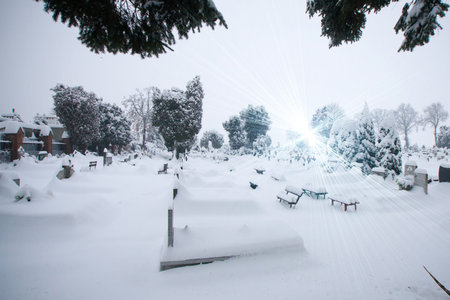 Frozen cementery covered by the snow winterの写真素材