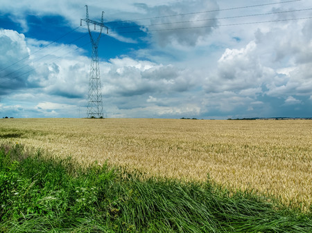 The powerlines on the field in summerの写真素材