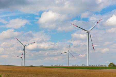 The windmills on the yellow large colza field