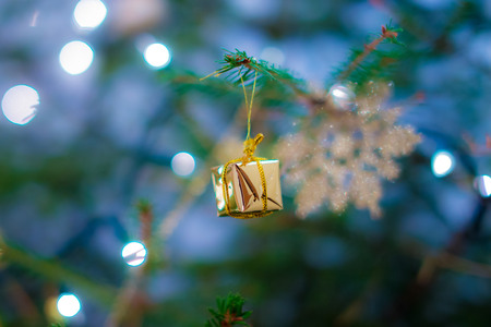Small gift on the branch of christmass treeの写真素材