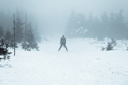 The skier going through the forest in the fog