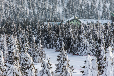 Small house in high mountains Alps Austria