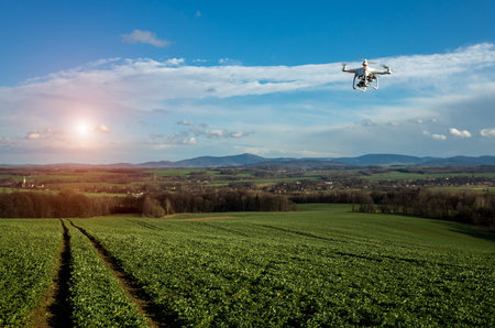 Small drone is flying above the large green field