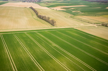 Aerial view of the large green fieldの写真素材