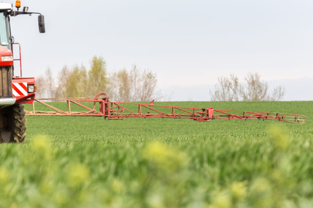 Spraying the herbicides on the green field